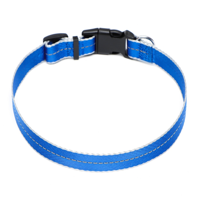 Ошейник светоотражающий Ошейник светоотражающий "Неон", ширина 2,5 см, синий
