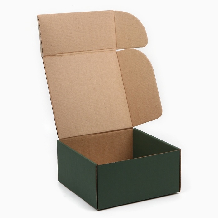 Коробка складная «Ботаника», 24 х 24 х 12 см Коробка складная «Ботаника», 24 х 24 х 12 см