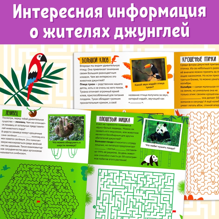 Книга «Лабиринты и факты. По лианам в джунгли», 24 стр. Книга «Лабиринты и факты. По лианам в джунгли», 24 стр.