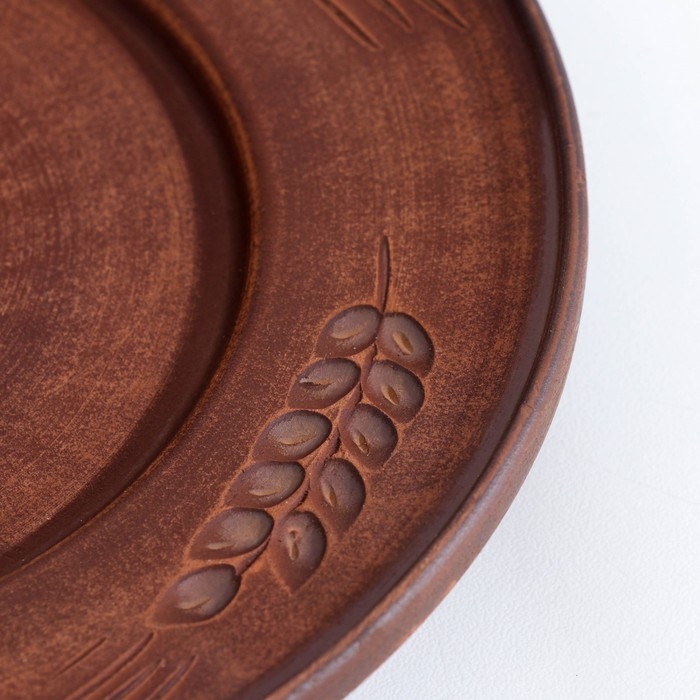 Тарелка «Колос‎‎», 2х19х19 см