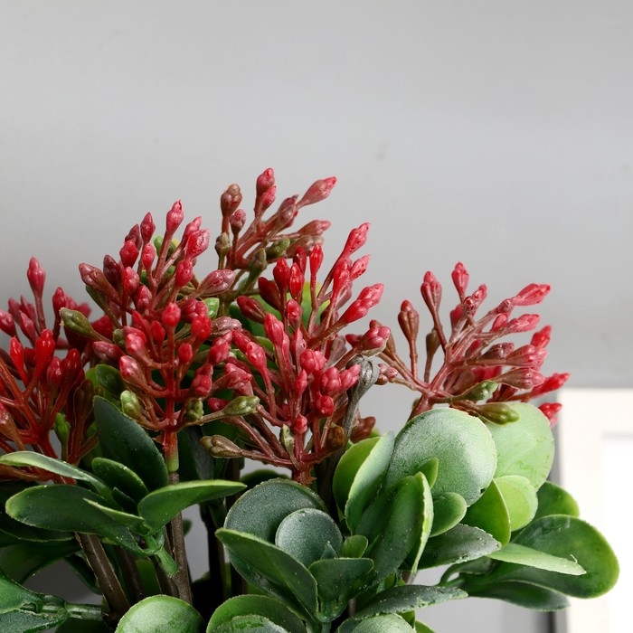 Бонсай в горшке Бонсай в горшке "Сенполия галант" 14х23 см, микс