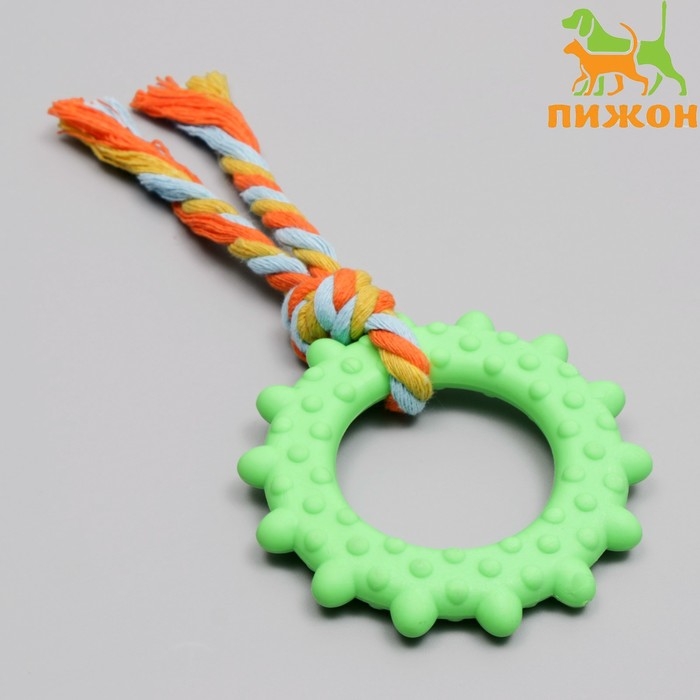 Игрушка жевательная с канатом Игрушка жевательная с канатом "Кольцо с хвостом", зелёная
