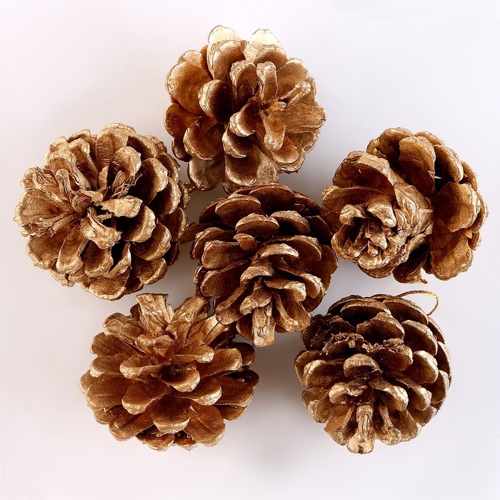 Новый год! Набор декоративных шишек, 6 шт., в золотом цвете, 17,5 × 11,5 × 6 см Новый год! Набор декоративных шишек, 6 шт., в золотом цвете, 17,5 × 11,5 × 6 см