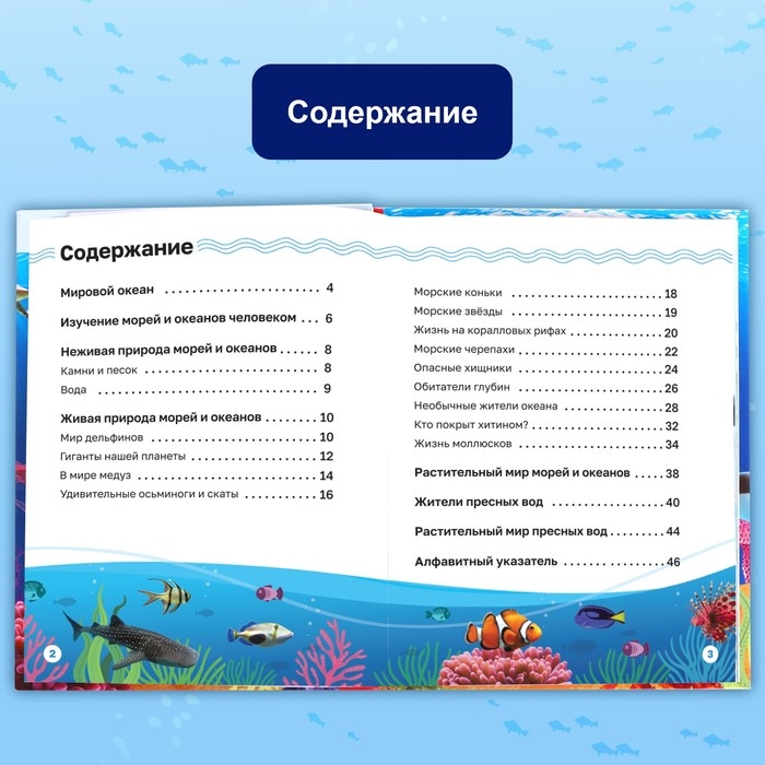 Энциклопедия в твёрдом переплёте «Подводный мир», 48 стр. Энциклопедия в твёрдом переплёте «Подводный мир», 48 стр.