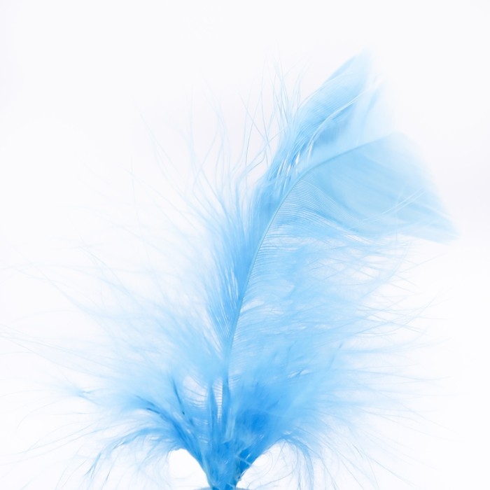 Игрушка для кошек  Игрушка для кошек "Водоворот" 4,2 см, голубая