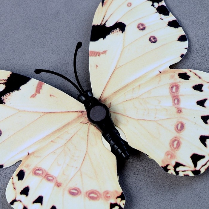 Набор для украшения «Бабочки», 12 шт, с чёрными вставками, цвет белый Набор для украшения «Бабочки», 12 шт, с чёрными вставками, цвет белый