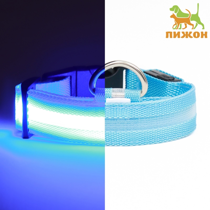 Ошейник с подсветкой, зарядка от USB, размер S, ОШ 34-41 см, 3 режима, голубой Ошейник с подсветкой, зарядка от USB, размер S, ОШ 34-41 см, 3 режима, голубой