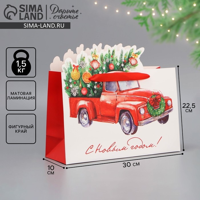 Пакет подарочный новогодний «Спешу к тебе», 30 х 25 х 10 см, Новый год Пакет подарочный новогодний «Спешу к тебе», 30 х 25 х 10 см, Новый год