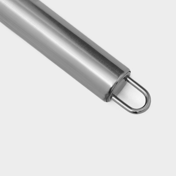 Рыбочистка Доляна «Металлик», 20 см, цвет серебристый Рыбочистка Доляна «Металлик», 20 см, цвет серебристый