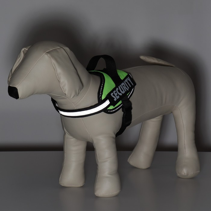 Шлейка К9 мягкая светоотражающая, размер ХS, ОГ 38-50 см, вес 3-6 кг, зелёная Шлейка К9 мягкая светоотражающая, размер ХS, ОГ 38-50 см, вес 3-6 кг, зелёная