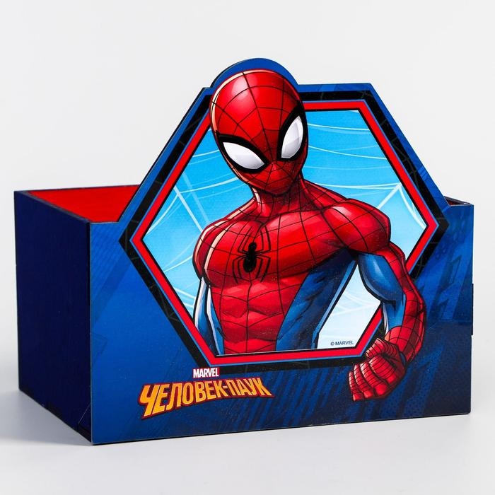 Органайзер для канцелярии, 15х10х8 см, Человек-паук Органайзер для канцелярии, 15х10х8 см, Человек-паук
