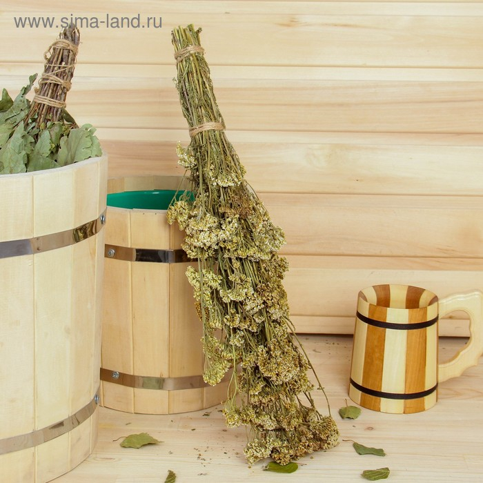 Веник для бани 45 (+-5) см ТРАВЯНОЙ из тысячелистника, в индивидуальной упаковке Веник для бани 45 (+-5) см ТРАВЯНОЙ из тысячелистника, в индивидуальной упаковке