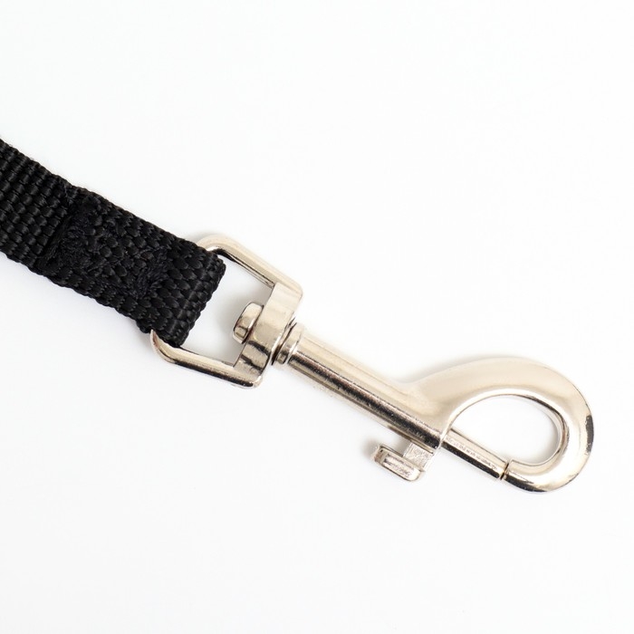 Поводок 5 м х 1,5 см, чёрный Поводок 5 м х 1,5 см, чёрный