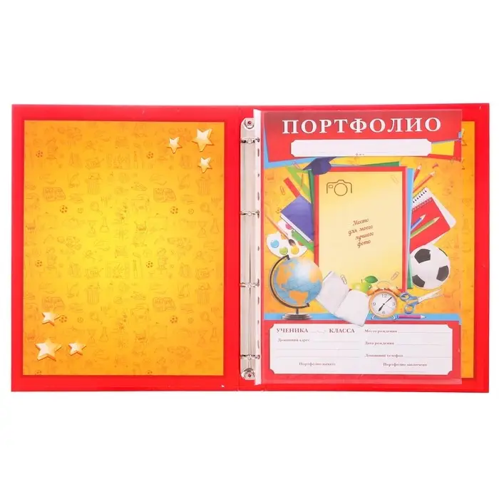 Папка школьная на кольцах «Портфолио школьника», 6 листов-разделителей, 24,5 х 32 см.