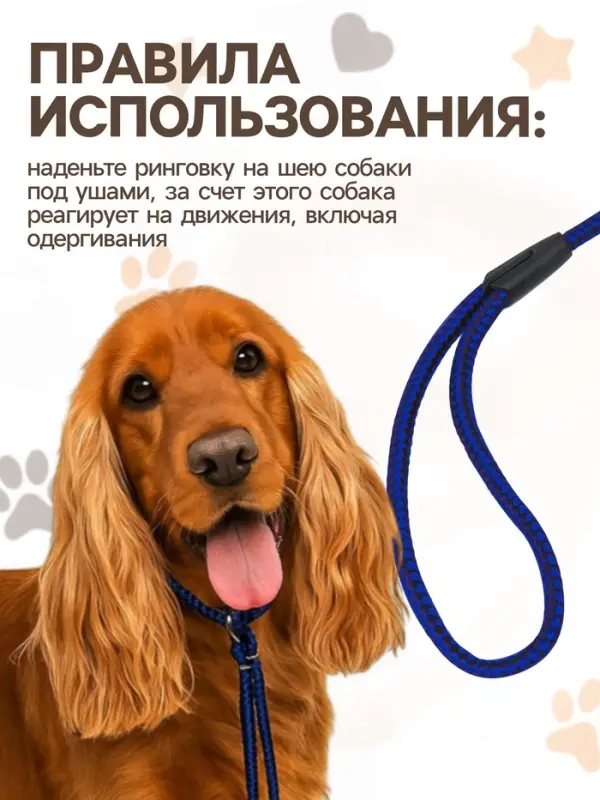 Ринговка для собак, 150&times;0.6 см, с вертлюгом, синяя, чёрная