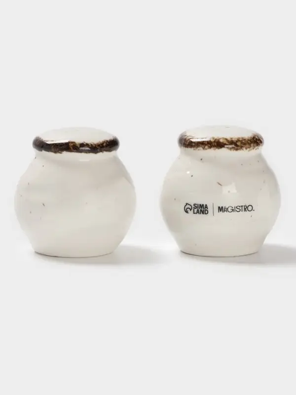 Набор для специй Magistro Alpine Frost, 2 предмета: перечница, солонка, 80 мл, 5&times;6 см, фарфор, белый