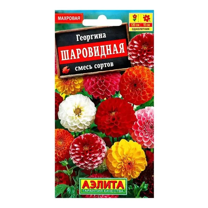 Семена цветов Георгина &laquo;Шаровидная&raquo;, смесь окрасок, 0.2 г