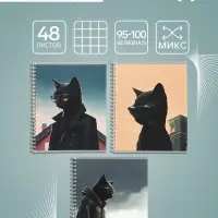 Тетрадь 48 листов в клетку на гребне, Calligrata &laquo;Чёрный Кот&raquo;, МИКС