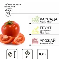 Семена Томат "Фокус-покус", индетерминантный,высокорослый, 0,2 г