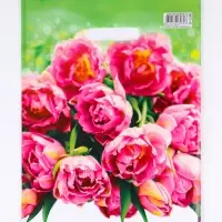 Пакет подарочный &laquo;Натюрель&raquo; полиэтиленовый с вырубной ручкой, 30&times;40 см, 30 мкм