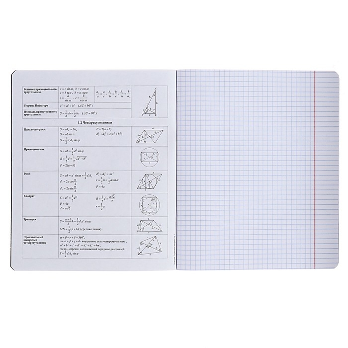 Тетрадь предметная ГЕОМЕТРИЯ, 48 листов в клетку, ErichKrause Inscription, обложка мелованный картон, твин-лак, блок офсет 100% белизна, инфо-блок Тетрадь предметная ГЕОМЕТРИЯ, 48 листов в клетку, ErichKrause Inscription, обложка мелованный картон, твин-лак, блок офсет 100% белизна, инфо-блок