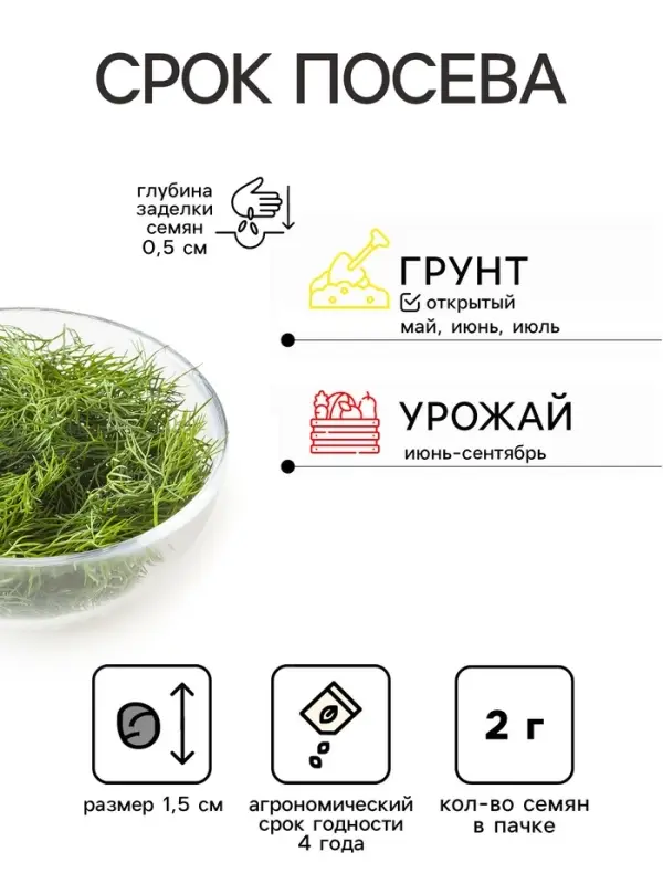 Семена Укроп "Обильнолистный" 2 г