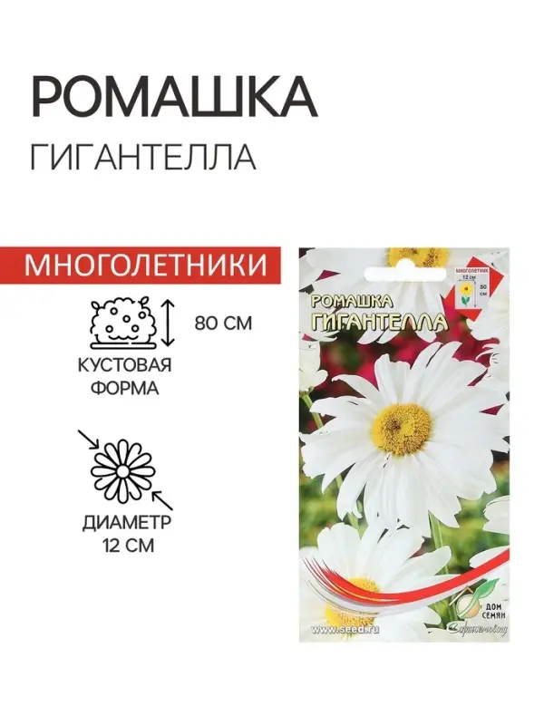 Семена Ромашка  Семена Ромашка "Гигантелла",  70 шт