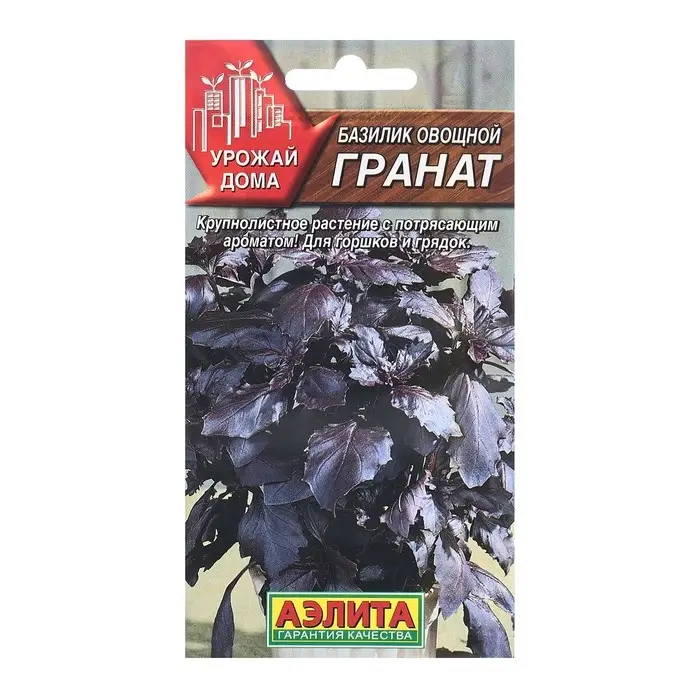 Семена Базилик овощной Гранат Урожай дома Ц/П 0,1г Семена Базилик овощной Гранат Урожай дома Ц/П 0,1г