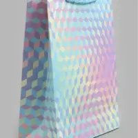 Пакет ламинированный &laquo;Геометрия&raquo;, 26&times;32&times;10 см