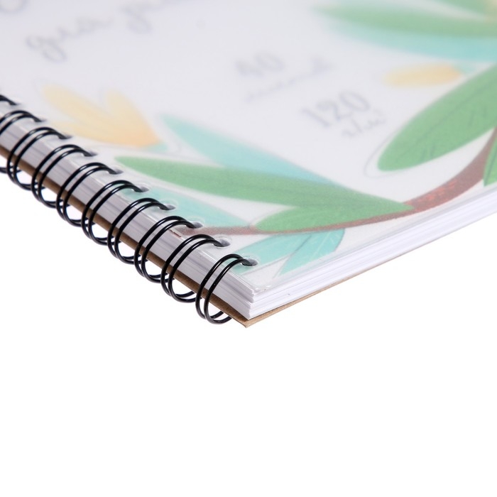 Альбом для рисования А4, 40 листов, блок 120 г/м&sup2;, на спирали, Erich Krause "Juice Fruits", пластиковая обложка, 100% белизна, перфорация на отрыв, твердая подложка