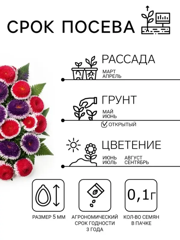 Семена цветов Астра &laquo;Махровые мячи&raquo; смесь сортов, однолетник, 0.1 г, &laquo;Аэлита&raquo;