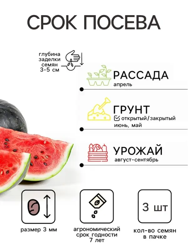 Семена Арбуз &laquo;Уральский Скороспел&raquo;, F1, 3 шт., &laquo;Уральский дачник&raquo;