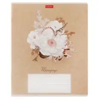 Тетрадь 18 листов в линейку "Нежность", обложка мелованная бумага, блок 65 г/м2, МИКС