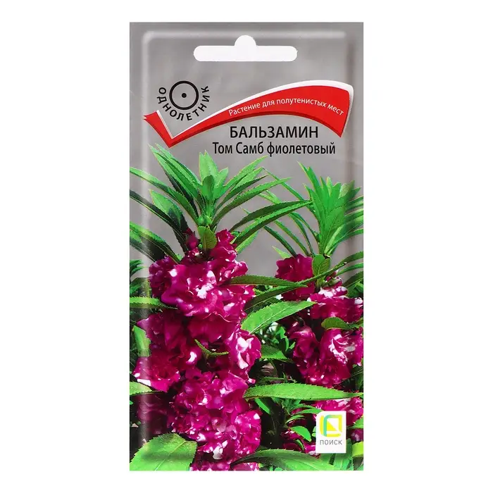 Семена цветов Бальзамин  Семена цветов Бальзамин "Том Самб", фиолетовый, 0,1гр.