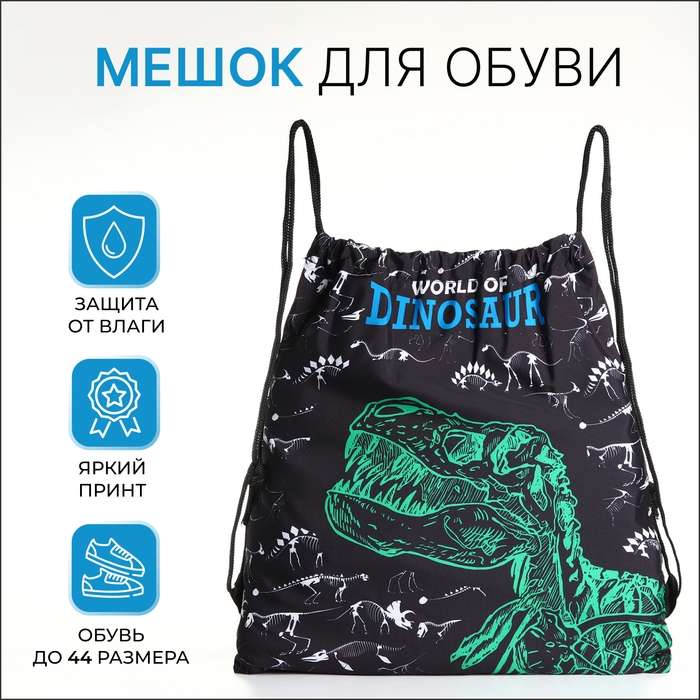 Мешок для обуви на шнурке, цвет чёрный/зелёный Мешок для обуви на шнурке, цвет чёрный/зелёный