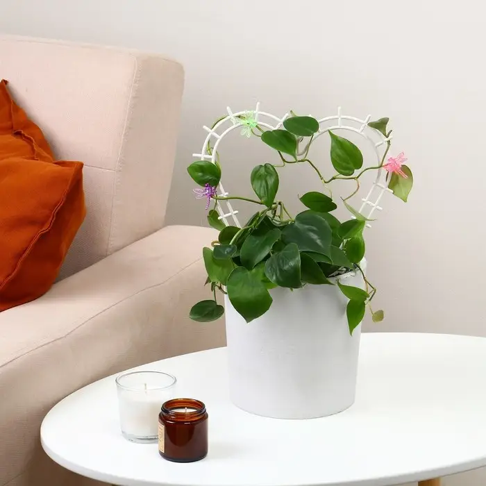 Шпалера, 29×27×0.3 см, пластик, цвет МИКС, «Сердечко» Шпалера, 29×27×0.3 см, пластик, цвет МИКС, «Сердечко»