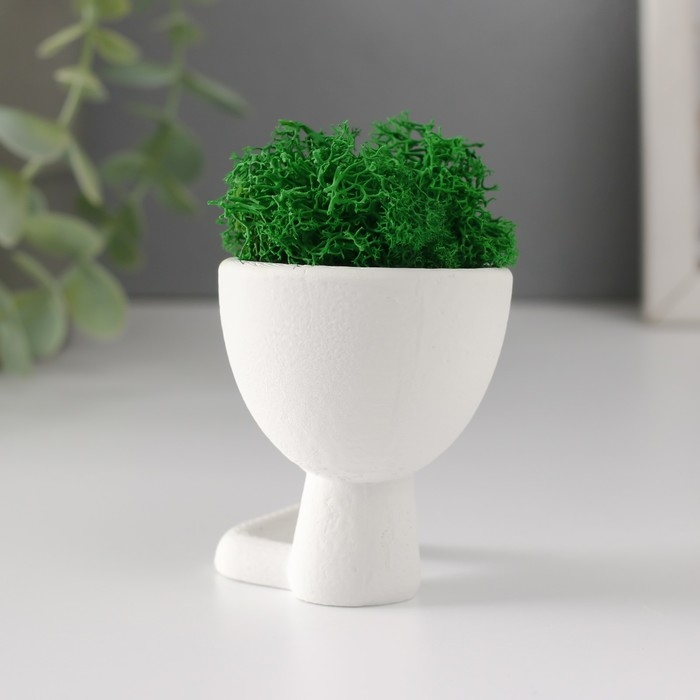 Стабилизированный мох в кашпо из бетона «Мистер Грин Мидзару», мини, 5.5×6.5×6.5 см, белый Стабилизированный мох в кашпо из бетона «Мистер Грин Мидзару», мини, 5.5×6.5×6.5 см, белый