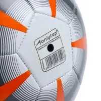 Футбольный мяч ONLYTOP, машинная сшивка, 32 панели, р. 5, PVC