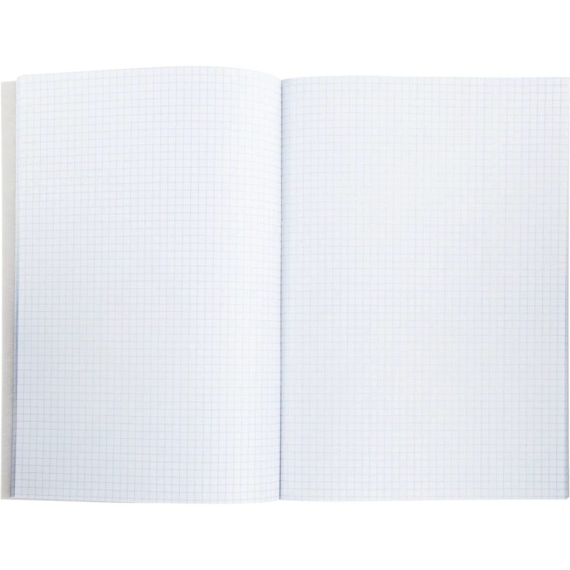 Книга учета канц.облож.картон (клетка) 48л. блок офсет