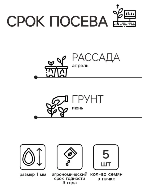 Семена цветов Ковыль  Семена цветов Ковыль "Фейерверк", 5 шт.