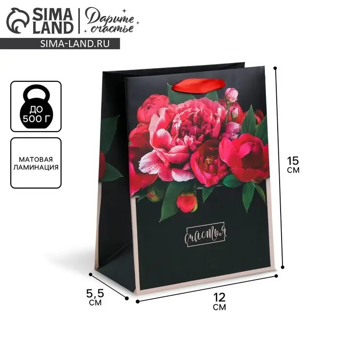 Пакет подарочный ламинированный, упаковка, «Цветочные чувства», S 12 х 15 х 5.5 см Пакет подарочный ламинированный, упаковка, «Цветочные чувства», S 12 х 15 х 5.5 см
