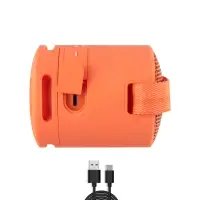 Портативная Bluetooth колонка SRS-XB100 Оранжевый