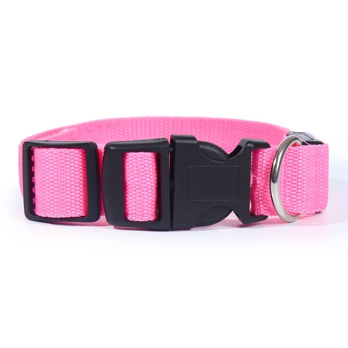 Ошейник с подсветкой Двойная полоса размер S, ОШ 35-43 х 2,5 см 3 режима свечения розовый Ошейник с подсветкой Двойная полоса размер S, ОШ 35-43 х 2,5 см 3 режима свечения розовый
