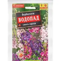 Набор семян Вербаскум &laquo;Водопад&raquo;, 5 шт.
