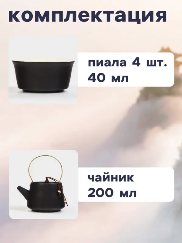 Набор для чайной церемонии &laquo;Мотомия&raquo;, 9 предметов, на 4 персоны, чашка 40 мл, чайник 200 мл, керамика, чёрный
