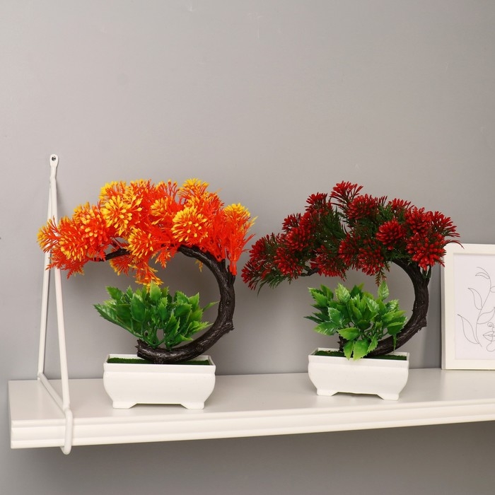 Бонсай в горшке Бонсай в горшке "Селагинелла африканская" 10х20 см, микс