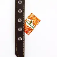 Ошейник однослойный "Красотка", 2.5 см, тиснение фольгой, микс цветов Ошейник однослойный "Красотка", 2.5 см, тиснение фольгой, микс цветов