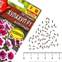 Семена цветов Петуния &laquo;Хулахуп&raquo; бургунди, F1, 7 шт., Sakata, &laquo;АЭЛИТА&raquo;
