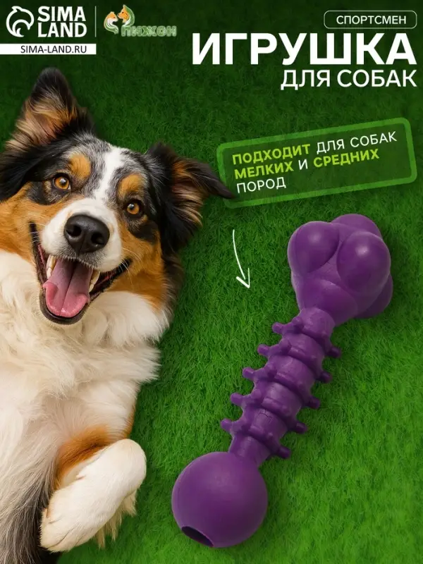 Жевательная игрушка для собак &laquo;Спортсмен&raquo;, 15.5 см, TPR, фиолетовая