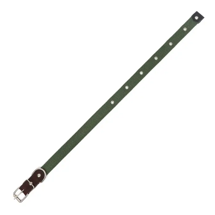 Ошейник брезентовый однослойный, 52&times;2 см, ОШ 25-45 см, тёмно-зелёный